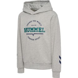 суичър,детски,блузи,hummel,asher,hoodie,grey,(light,grey,melange)