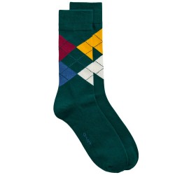 чорапи,мъжки,чорапи,gant,9960319,socks,green,(deep,forest)