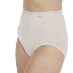 дамско,бельо,дамски,бикини,и,танкини,avet,31345,panties,petal,(beige)