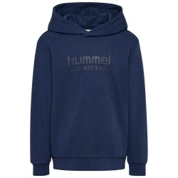суичър,детски,блузи,hummel,base,hoodie,dress,blues,(blue)