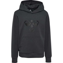 суичър,детски,блузи,hummel,cuatro,hoodie,black,(asphalt,black)