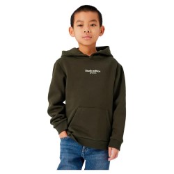 суичър,детски,блузи,name,it,brody,hoodie,rosin,(green)