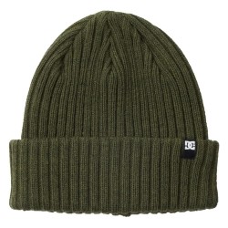 шапка,всички,шапки,dc,shoes,fish,n,destroy,2,beanie,green