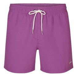бански,гащета,мъжки,бански,костюми,o´neill,15´´,swimming,shorts,sweet,grape,(purple)
