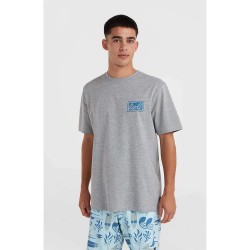 тениска,мъжки,тениски,o´neill,beach,graphic,short,sleeve,t,shirt,silver,melee,(grey)