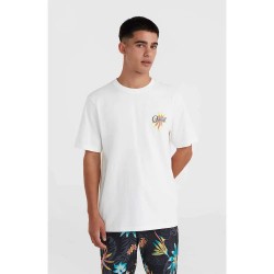 тениска,мъжки,тениски,o´neill,beach,graphic,short,sleeve,t,shirt,snow,white,(white)