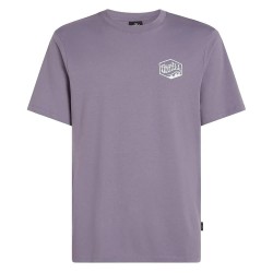 тениска,мъжки,тениски,o´neill,box,logo,short,sleeve,t,shirt,storm,(grey)