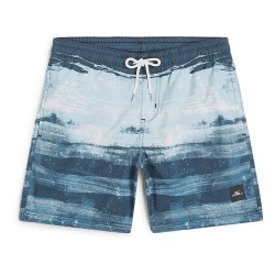 детски,бански,гащета,детски,бански,костюми,o´neill,cali,gradient,14´´,swimming,shorts,blue,(blue,melted,stripe,boys)
