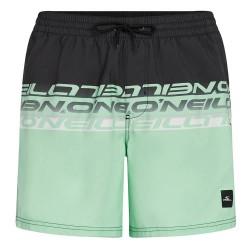 бански,гащета,мъжки,бански,костюми,o´neill,cali,stripe,16´´,swimming,shorts,green,black,upside,down,clean,(green)