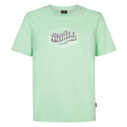 тениска,мъжки,тениски,o´neill,front,print,short,sleeve,t,shirt,mildrew,mint,(green)