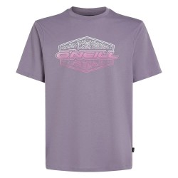тениска,мъжки,тениски,o´neill,gradient,short,sleeve,t,shirt,storm,(purple)