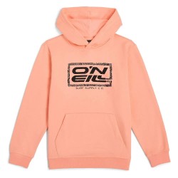 суичър,детски,блузи,o´neill,logo,hoodie,coral,pop,(orange)