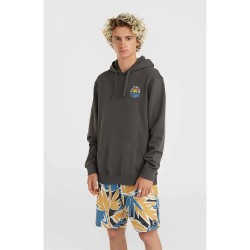 суичър,мъжки,пуловери,o´neill,og,sun,hoodie,grey,(raven)