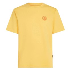 тениска,мъжки,тениски,o´neill,o´riginals,vintage,graphic,short,sleeve,t,shirt,yellow,(golden,haze)