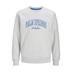 блуза,мъжки,пуловери,jack,&,jones,detroit,sweatshirt,white,melange,(grey)