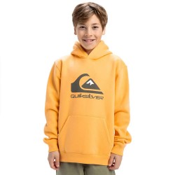 суичър,детски,блузи,quiksilver,big,logo,hoodie,chamois,(yellow)