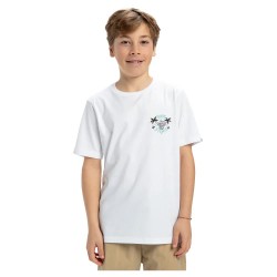 тениска,детски,тениски,quiksilver,ev,share,the,stoke,short,sleeve,t,shirt,white,(white)