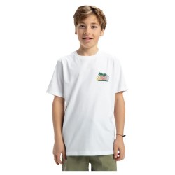 тениска,детски,тениски,quiksilver,ev,sunny,palms,short,sleeve,t,shirt,white,(white)