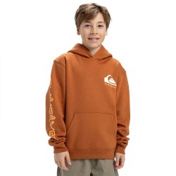 суичър,детски,блузи,quiksilver,omni,logo,hoodie,bran,(brown)