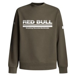 блуза,мъжки,пуловери,red,bull,racing,dynamic,fade,sweatshirt,green
