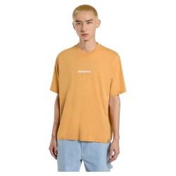 тениска,мъжки,тениски,dickies,enterprise,short,sleeve,t,shirt,orange,(oak,buff)