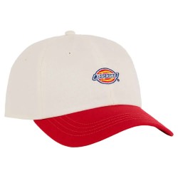 шапка,всички,шапки,dickies,hardwick,two,tone,cap,white,(egret)