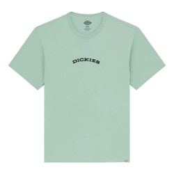 тениска,мъжки,тениски,dickies,outdoor,short,sleeve,t,shirt,iceberg,green,(green)