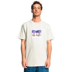 тениска,мъжки,тениски,dc,shoes,metallic,star,short,sleeve,t,shirt,pelican,(beige)