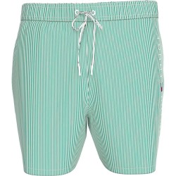 бански,гащета,мъжки,бански,костюми,tommy,hilfiger,um0um03265,swimming,shorts,green,(ithaca,white,radiant,green)