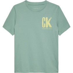 тениска,детски,тениски,calvin,klein,jeans,chest,surf,graphic,short,sleeve,t,shirt,green,(green,surf)