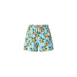 бански,гащета,мъжки,бански,костюми,north,sails,allover,volley,swimming,shorts,white,blue,stripes,orange,fruits,(blue)