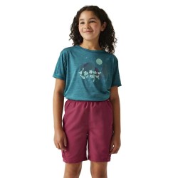 тениска,детски,тениски,regatta,alvarado,ix,short,sleeve,t,shirt,exotic,plume,marl,(blue)