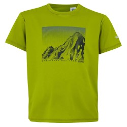 тениска,детски,тениски,regatta,alvarado,ix,short,sleeve,t,shirt,grenoble,green,(green)