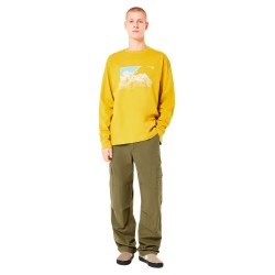панталони,мъжки,панталони,oakley,allday,cargo,pants,army,green,(yellow)