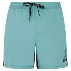 бански,гащета,мъжки,бански,костюми,protest,ben,swimming,shorts,arctic,green,(green)