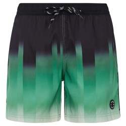 бански,гащета,мъжки,бански,костюми,protest,bowery,swimming,shorts,cactus,green,(green)