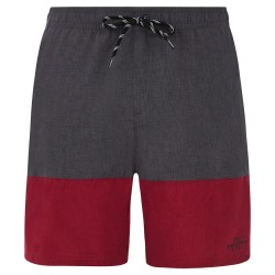 бански,гащета,мъжки,бански,костюми,protest,freddie,swimming,shorts,red,sangria,(grey)