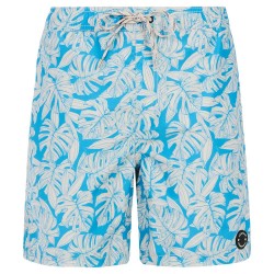 бански,гащета,мъжки,бански,костюми,protest,pedro,swimming,shorts,olympic,blue,(blue)