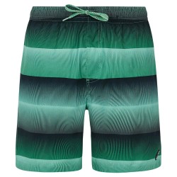 бански,гащета,мъжки,бански,костюми,protest,radar,swimming,shorts,cactus,green,(green)