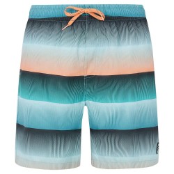 бански,гащета,мъжки,бански,костюми,protest,radar,swimming,shorts,arctic,green,(blue)