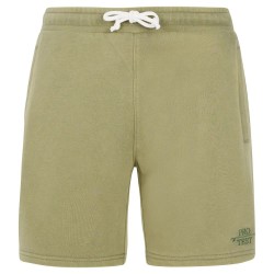 къси,панталони,мъжки,панталони,protest,tedor,shorts,artic,green,(green)