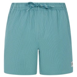 бански,гащета,мъжки,бански,костюми,protest,wytona,swimming,shorts,blue,(arctic,green)