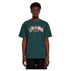 тениска,мъжки,тениски,mister,tee,drama,i,choose,heavy,short,sleeve,t,shirt,bottle,green,(green)