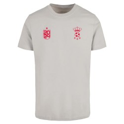 тениска,мъжки,тениски,mister,tee,espana,trikot,short,sleeve,t,shirt,beige,(light,asphalt)