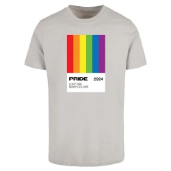 тениска,мъжки,тениски,дамски,тениски,mister,tee,many,colors,pride,short,sleeve,t,shirt,grey,(light,asphalt)