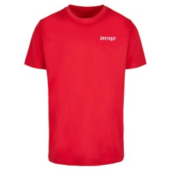 тениска,мъжки,тениски,mister,tee,pose,profissional,short,sleeve,t,shirt,red,(city,red)