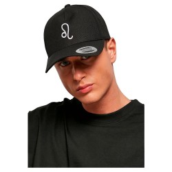 тениска,всички,шапки,mister,tee,zodiac,yp,classics,5,panel,premium,curved,visor,cap,snapback,cap,leo,(black)