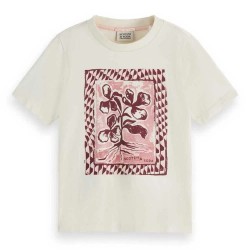 тениска,детски,тениски,scotch,&,soda,179355,regular,fit,short,sleeve,t,shirt,beige,(soft,ice)