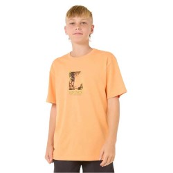 тениска,детски,тениски,rip,curl,raw,energy,frame,short,sleeve,t,shirt,orange,(mandarin,zest)