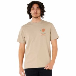 тениска,мъжки,тениски,rip,curl,aots,cody,welsh,palms,short,sleeve,t,shirt,beige,(light,khaki)